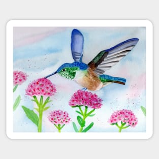 Hummingbird with Flowers in Watercolor Sticker